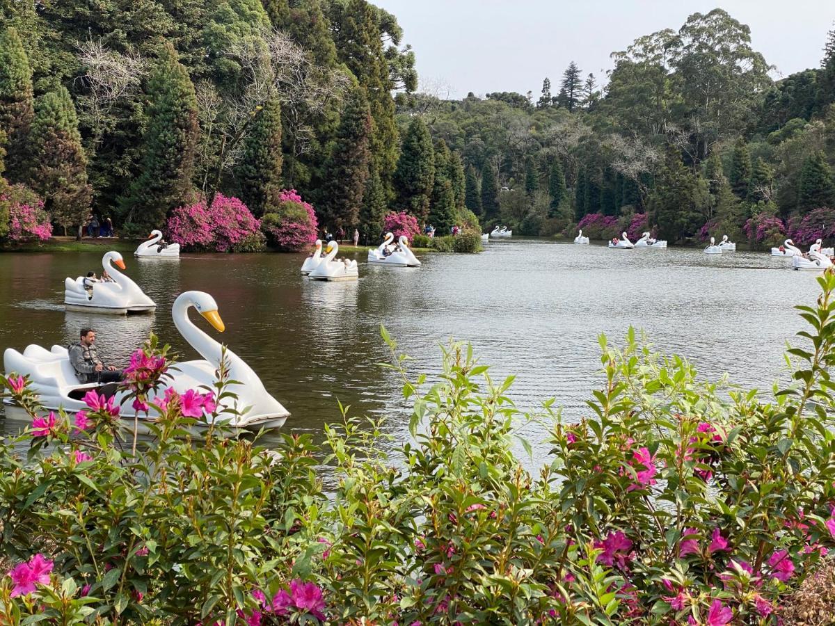 2 Suite, 1 Dormitorio Em Meio A Mata Araucaria A 1,5 Km Centro, Altos De Gramado Eksteriør billede
