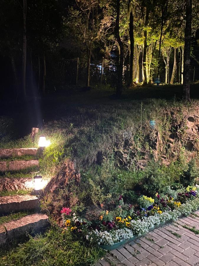 2 Suite, 1 Dormitorio Em Meio A Mata Araucaria A 1,5 Km Centro, Altos De Gramado Eksteriør billede
