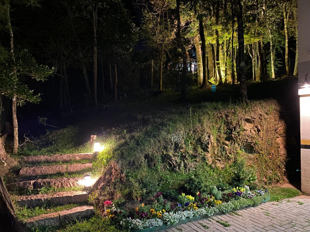 2 Suite, 1 Dormitorio Em Meio A Mata Araucaria A 1,5 Km Centro, Altos De Gramado Eksteriør billede